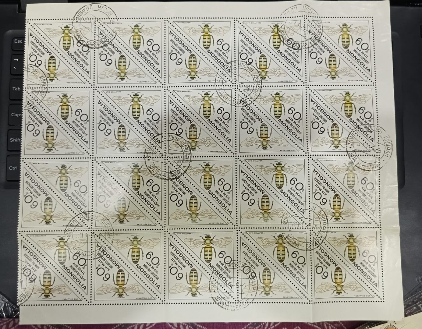 Mongolia triangle Big size sheet
